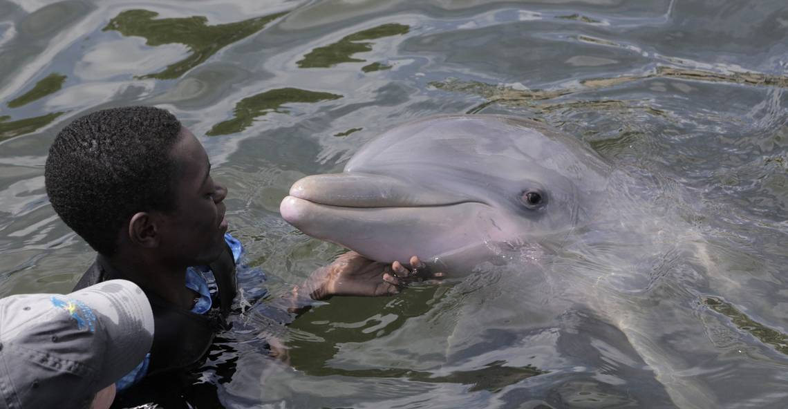 Djonsly Alcin, 14, who is from Haiti, pets a dolphin at Island Dolphin Care in Key Largo. For two years, his mother was unable to get a cancer diagnosis in Haiti. Image by José A. Iglesias. United States, 2018.