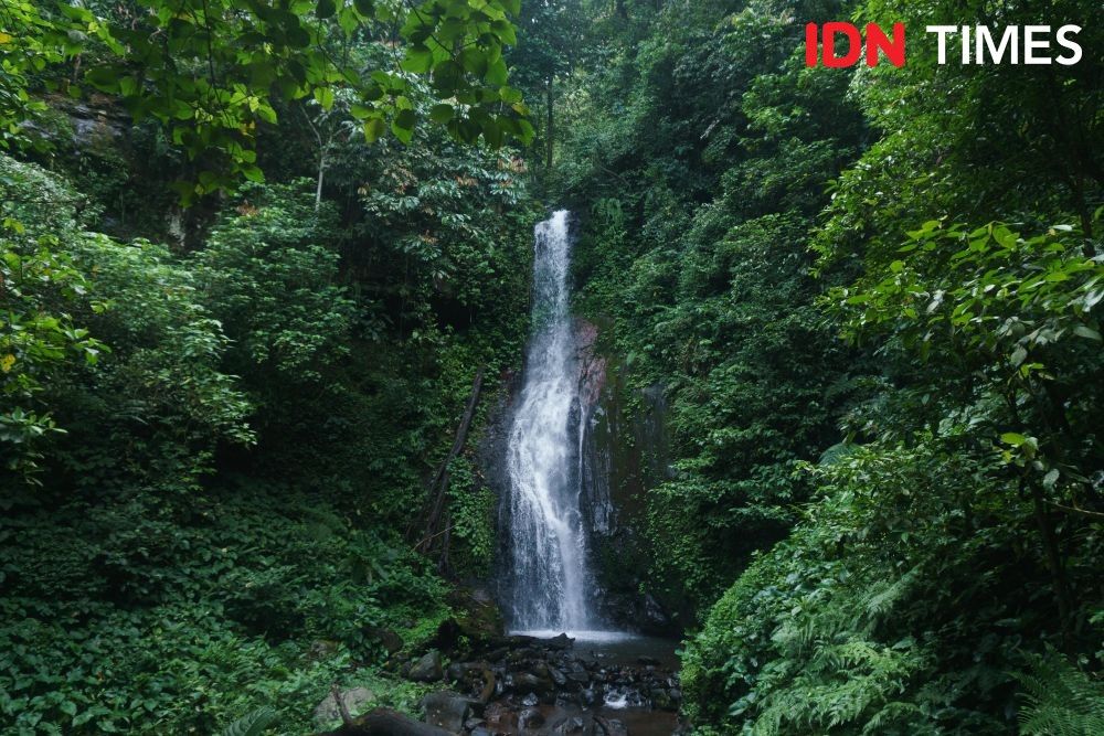 The Petungkriyono forest functions to collect rainwater in order to maintain water management and soil fertility. Photo by Dhana Kencana. Indonesia, 2020.