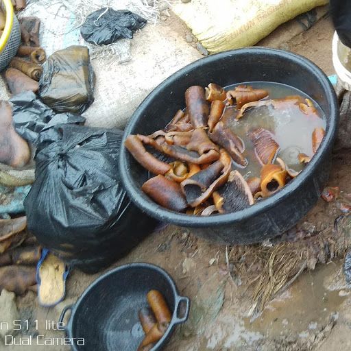 Ponmo kept in basin to keep it fresh. Image by Anita Igbine. Nigeria, 2020.

