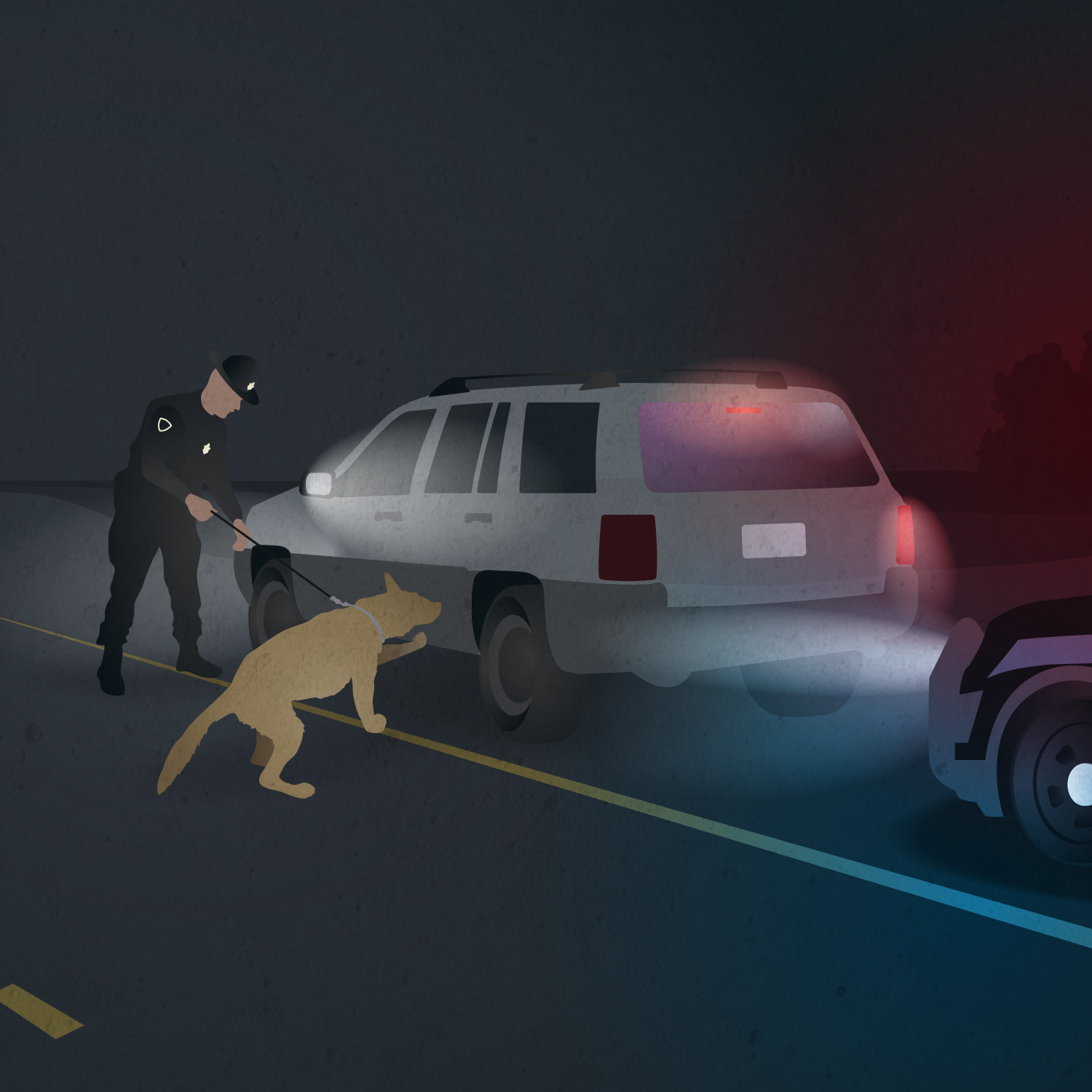The officer asks for consent to search. If the driver doesn't grant permission to search, the officer calls in a drug-sniffing dog. If the dog signals on drug scents, a search is allowed without the driver's consent and with no warrant obtained. Image by David Kovaluk. 2019.