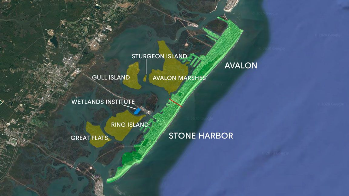 The Seven Mile Island Innovation Lab encompasses about 24 square miles of tidal marshes, lagoons, and channels in the back-bay region behind the barrier islands of Stone Harbor and Avalon. (The Wetlands Institute is highlighted in blue.) Image courtesy of Andrew S. Lewis via GoogleSearch.
