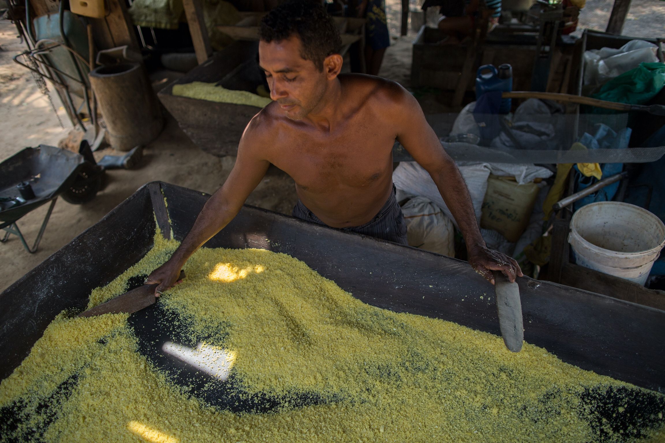 Preparation of cassava flour in Tapajós National Forest. Cassava is the main crop of the riverine people, cultivated with the use of controlled burning. Image by Flavio Forner.
