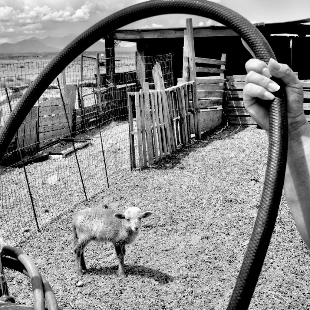 A sheep corral without running water in Black Falls, Ariz. Image by Matt Black—Magnum Photos for TIME. United States, 2019.