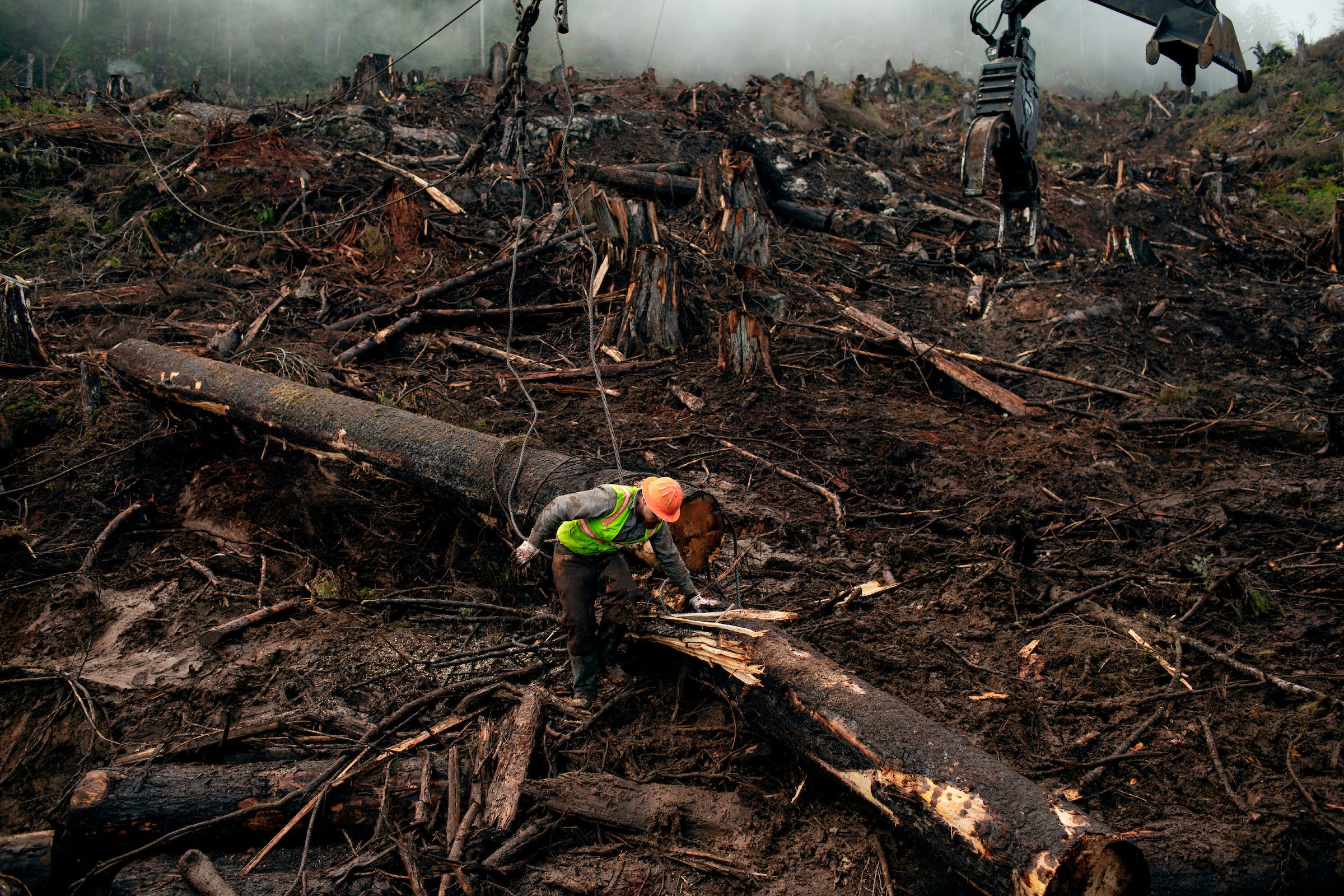 "Choker" crews use heavy machinery to drag logs lashed to hooks from areas of the Tuxekan logging site on Prince of Wales Island. Image by Joshua Cogan. United States, 2019.
