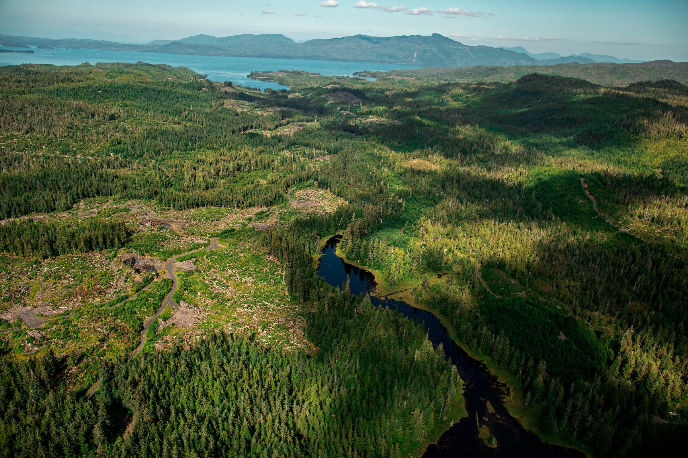 Some of these forest sites will be logged, and some will be put under carbon banking credits by Sealaska, which owns the land as part of settlement with the federal government. Image by Joshua Cogan. United States, 2019.