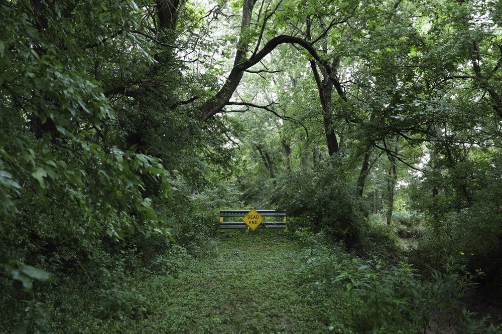 A "Dead End" sign is posted on the far end of 7th Street in Vienna, Ill. There was a small collection of houses along 7th Street, near where the outer edges of Vienna bumps up against Little Cache Creek. Image by Wong Maye-E/AP Photo. United States, 2020.