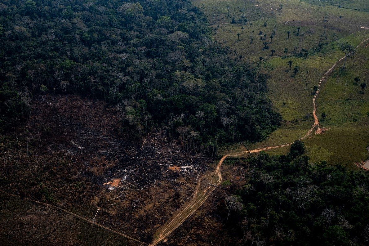 Open roads in the Amazon, like this one in Acre, are the first step towards deforestation. In places like this, loggers and farmers pass where it was difficult to reach before. Image by Marcio Pimenta. Brazil, 2019. 