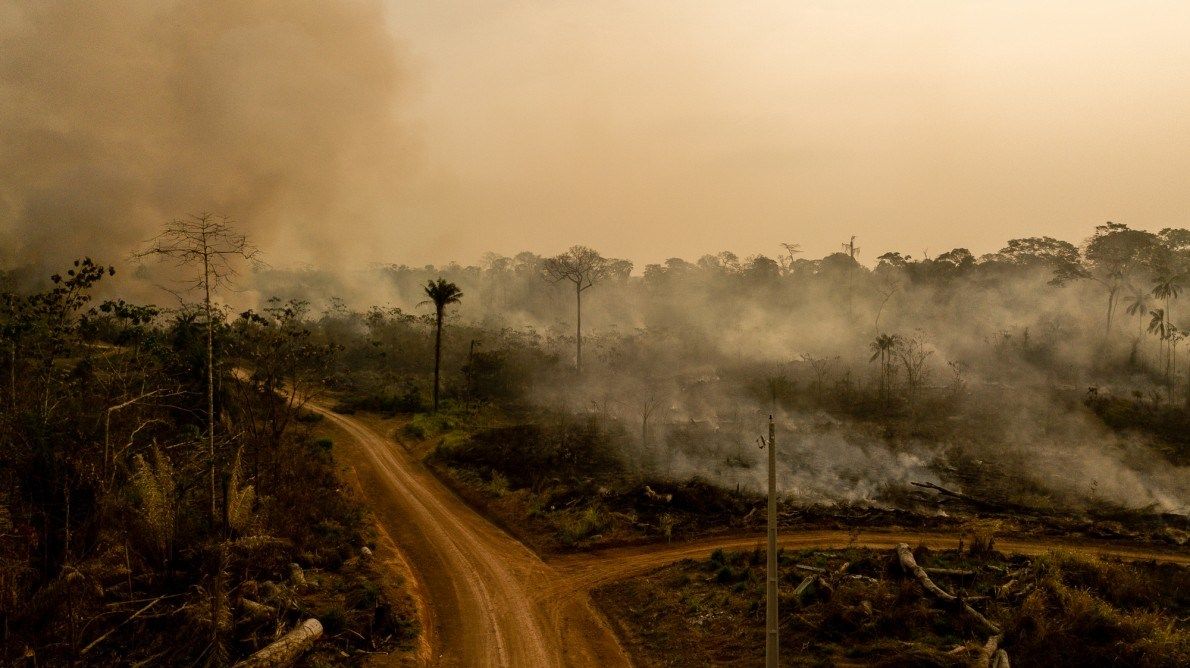 The fire also consumed part of the Antimary State Forest Project area in Acre, the first state public forest in Brazil. Image by Marcio Pimenta. Brazil, 2019. 
