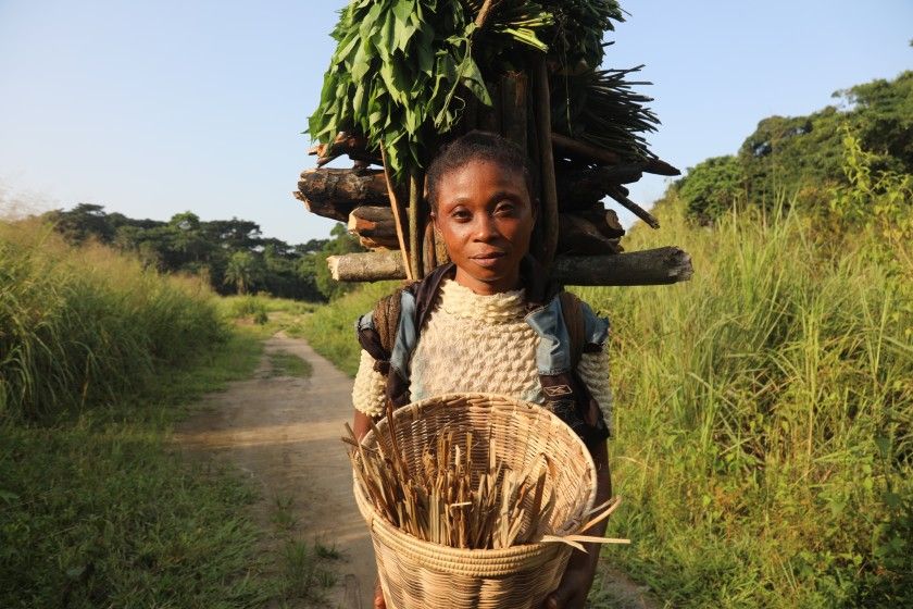 Mafi Esefa collects wood and cassava leaves. Image by Peter Yeung/The Los Angeles Times. Congo, 2020.