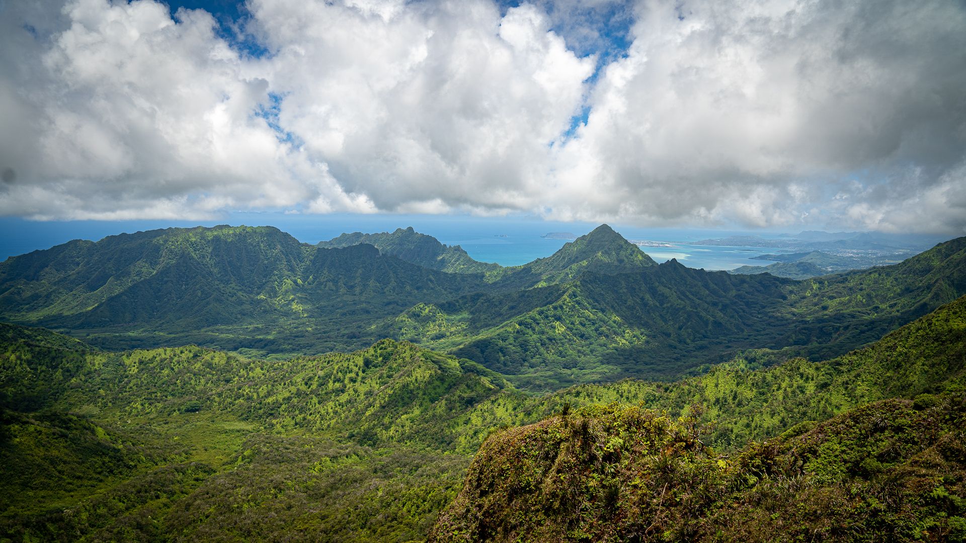 Watersheds provide clean drinking water, carbon sequestration and help prevent floods and droughts. A University of Hawaii study estimated the Koolau Range provides between $7.4 billion and $14 billion in value to the state. Image by Kuʻu Kauanoe/Civil Beat. United States, 2020.