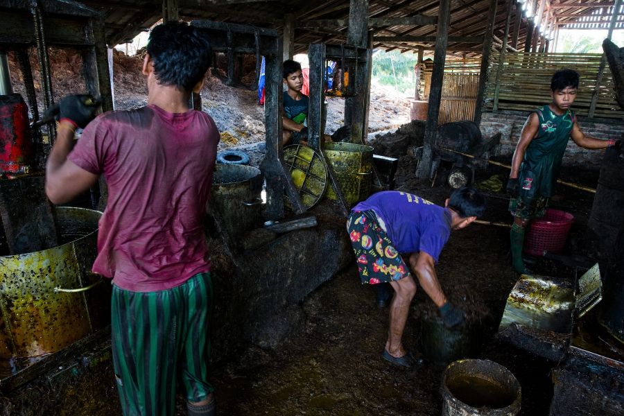 Men work in an oil mill at Asia World palm oil plantation in Bank Mae Village, Myanmar. Here, workers take the softened oil palm fruit and prepare it to be pressed into oil. Image by Taylor Weidman/PRI. Myanmar, 2016. 