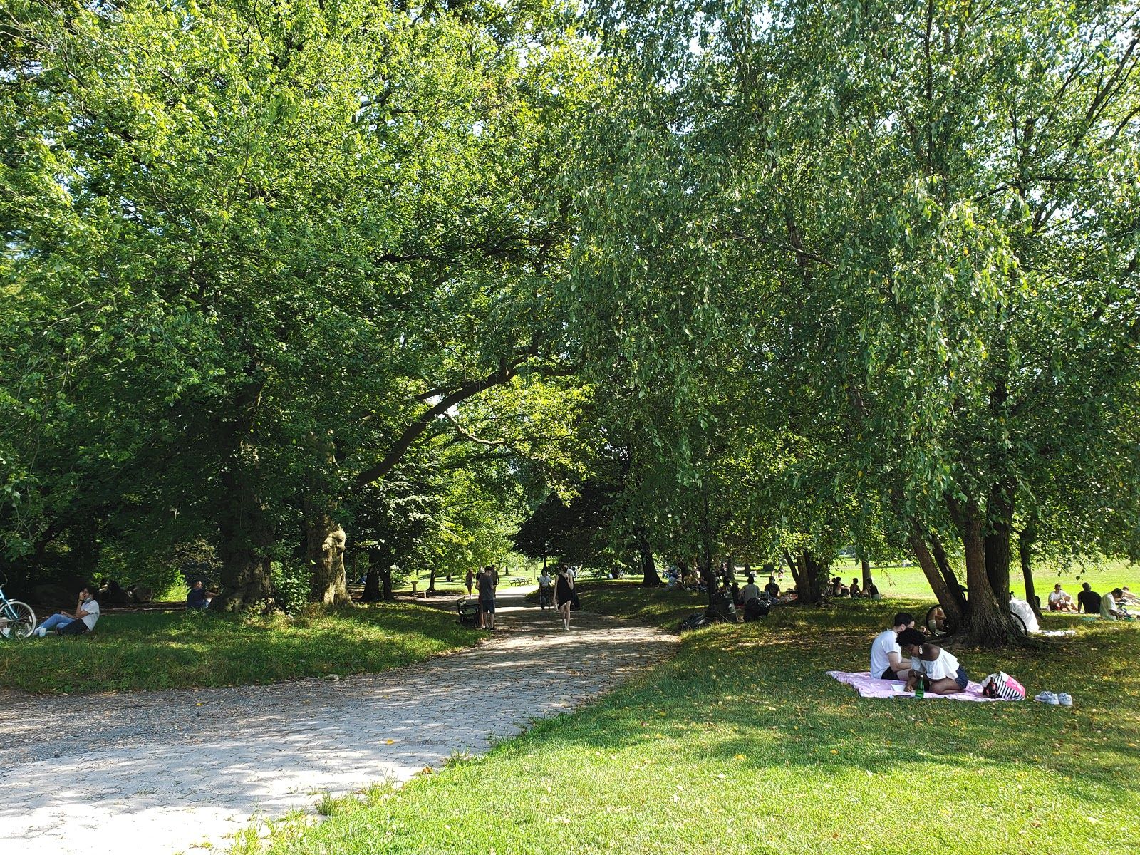 Passing time under trees in Prospect Park. Image by Clarisa Diaz. United States, 2020.

