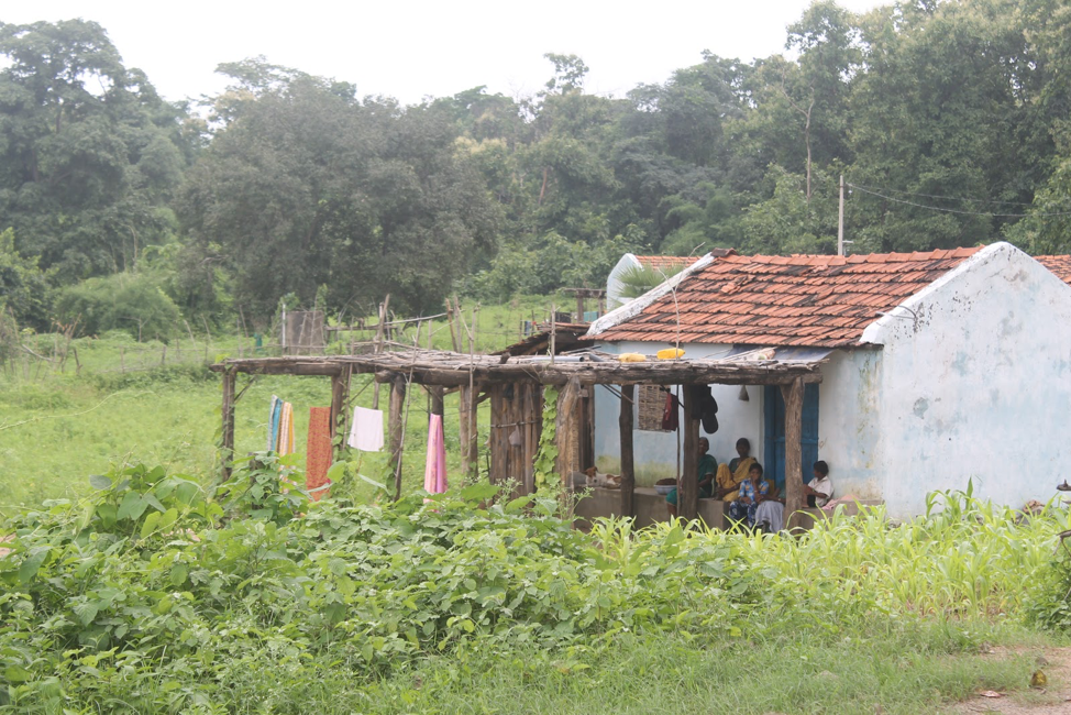 An adivasi house in Kawal Tiger Reserve, Telangana. Image by Vandana Menon. India, 2019.