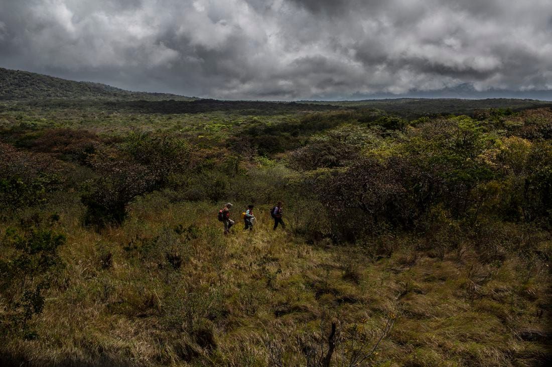 Ecologist Josh Fisher, left, and graduate students Nel Rodriguez Sepulveda and Katie Nelson traverse one of Rincón de la Vieja's slopes. Image by Dado Galdieri / Hilaea Media. Costa Rica, 2020.