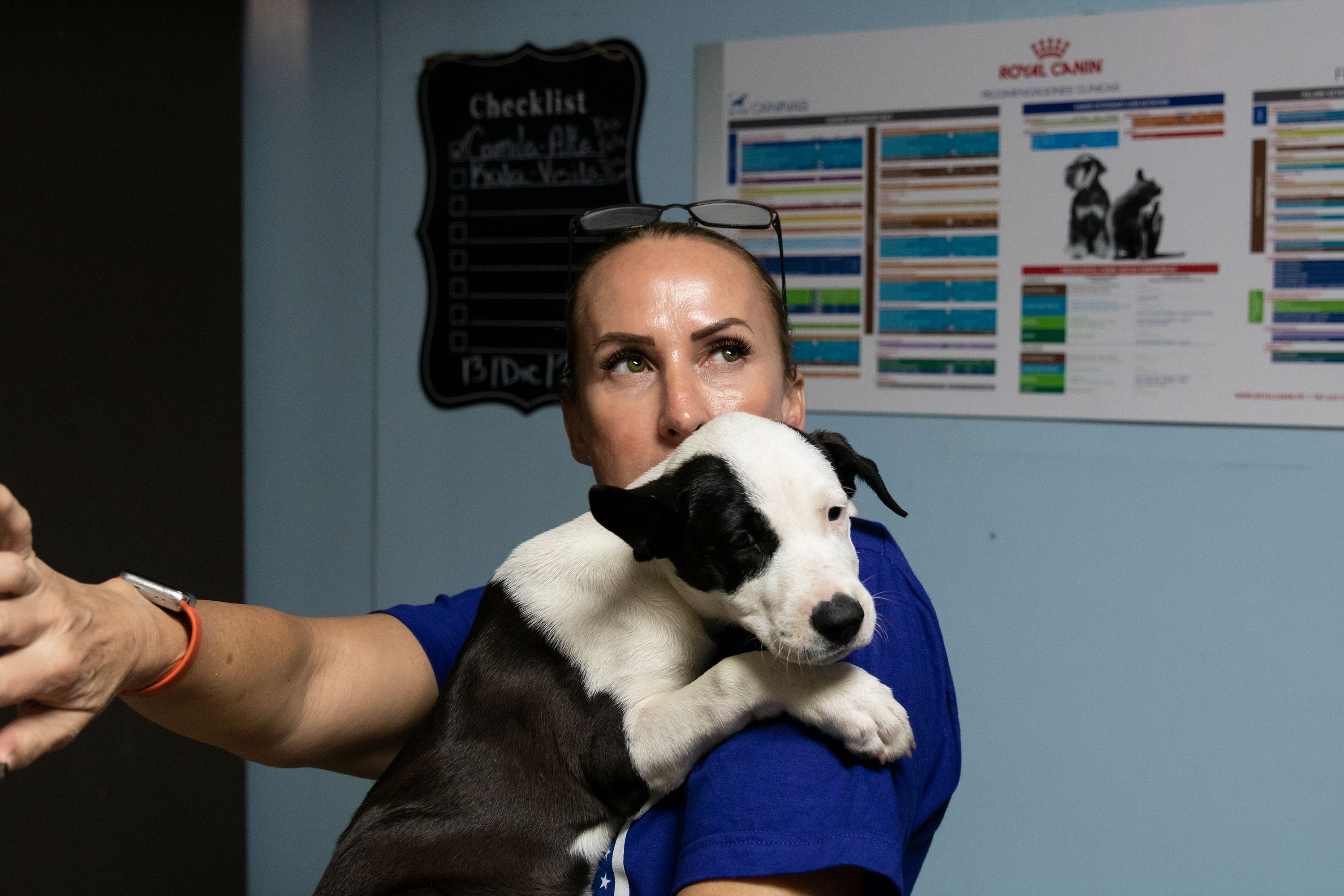 Chrissy Beckles, the founder of The SATO Project, checks in on one of her many dogs currently being treated at Candelero Animal Hospital in Humacao. Image by Jamie Holt. United States, 2019.