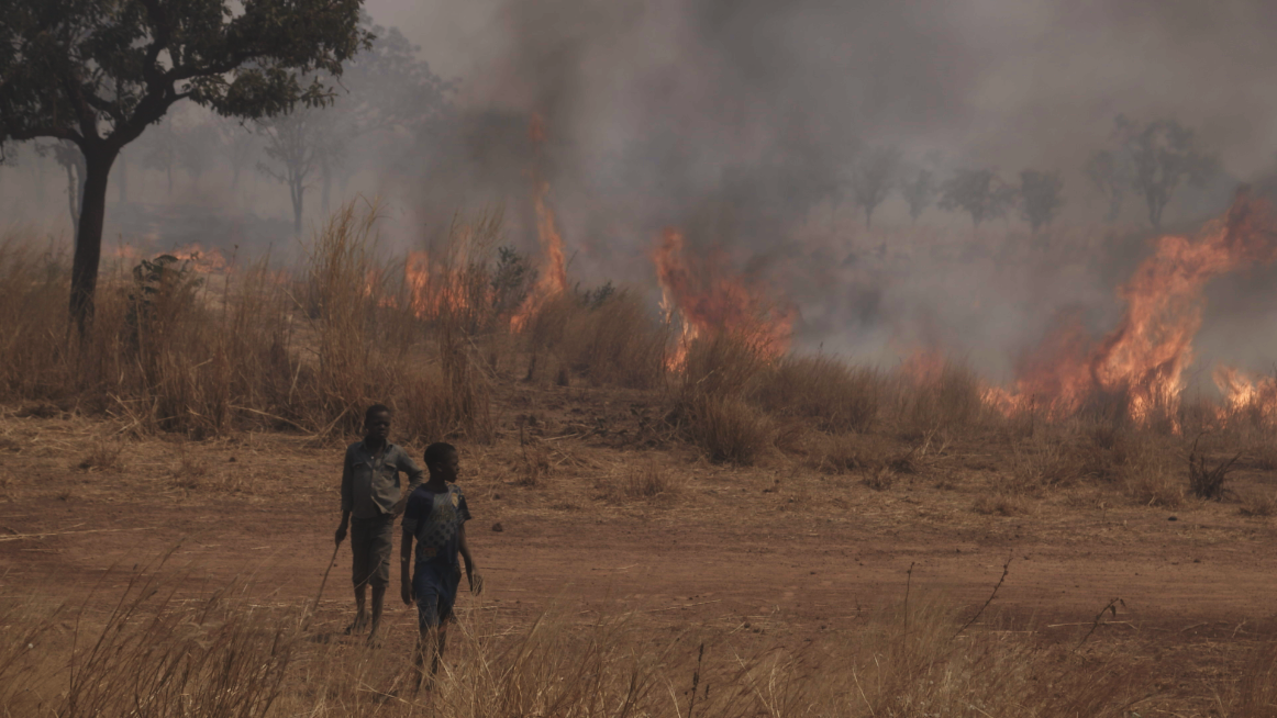 Children hunt by setting the bush on fire and clubbing animals as they emerge from the smoke. Image by Noah Fowler. Ghana, 2017.