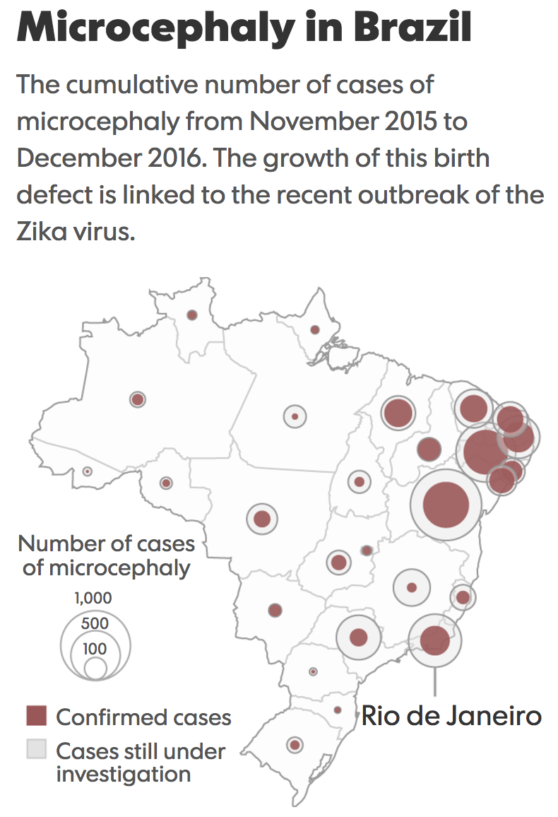 Source: Epidemiological reports from the Brazilian Ministry of Health.