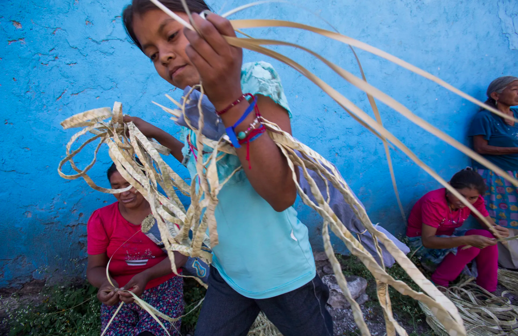 A child carries thin strips of dried palm leaves, which they sell at craft markets. Buyers weave them into hats and baskets. Image by Omar Ornelas. Mexico, 2019.