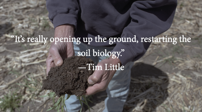 Bridgewater Township, Minnesota. With a dirt stained spade Tim Little scythes through the topsoil, levering up clods of earth, prying them apart to show earthworms and new root systems. There are other benefits to cover crops, but they’re hard to quantify, and happen over a long timeframe. Image by Spike Johnson. United States, 2019.