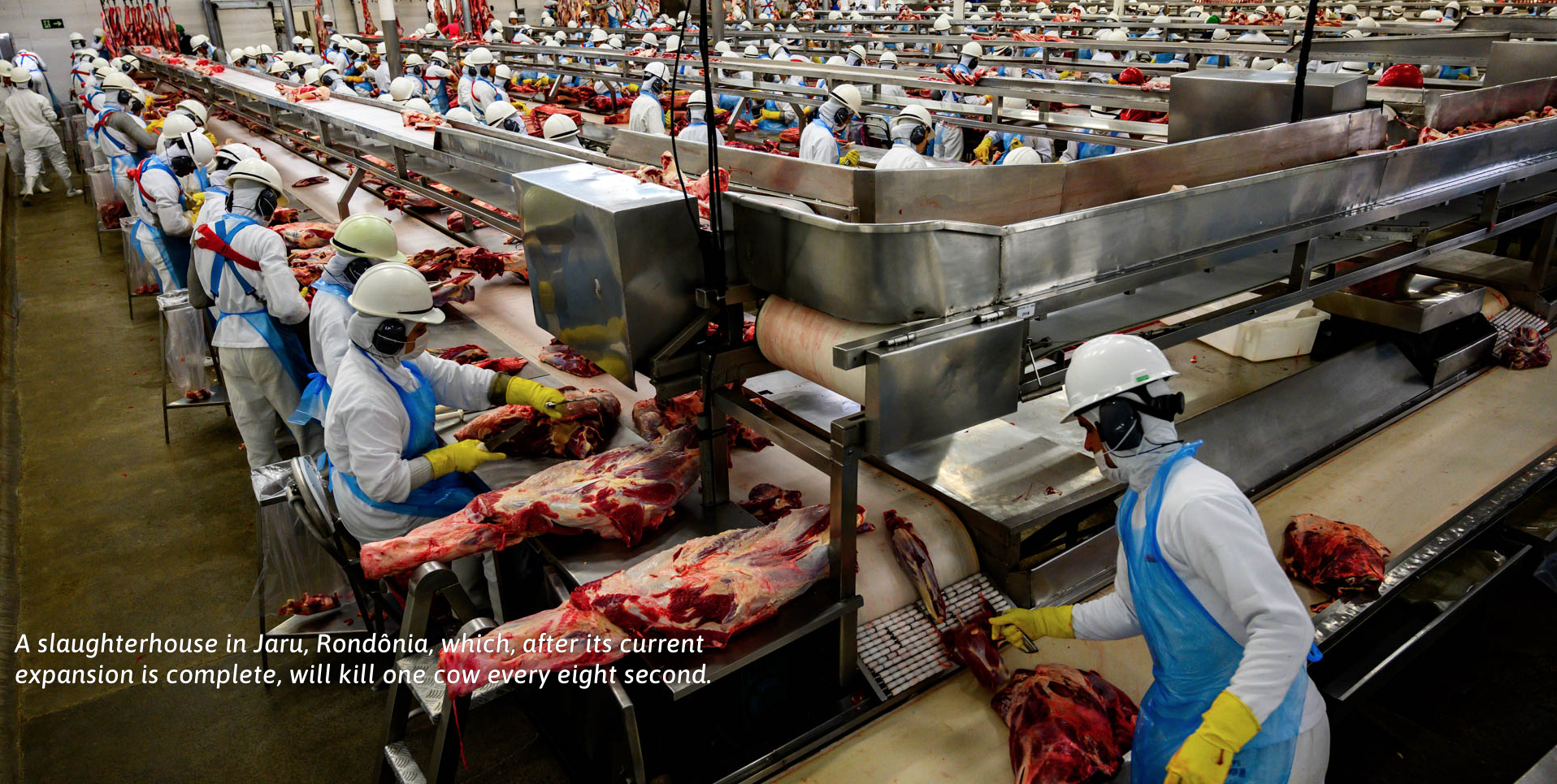 A slaughterhouse in Jaru, Rondônia, which, after its current expansion is complete, will kill one cow every eight second. Image by Sebastián Liste. Brazil, 2019.