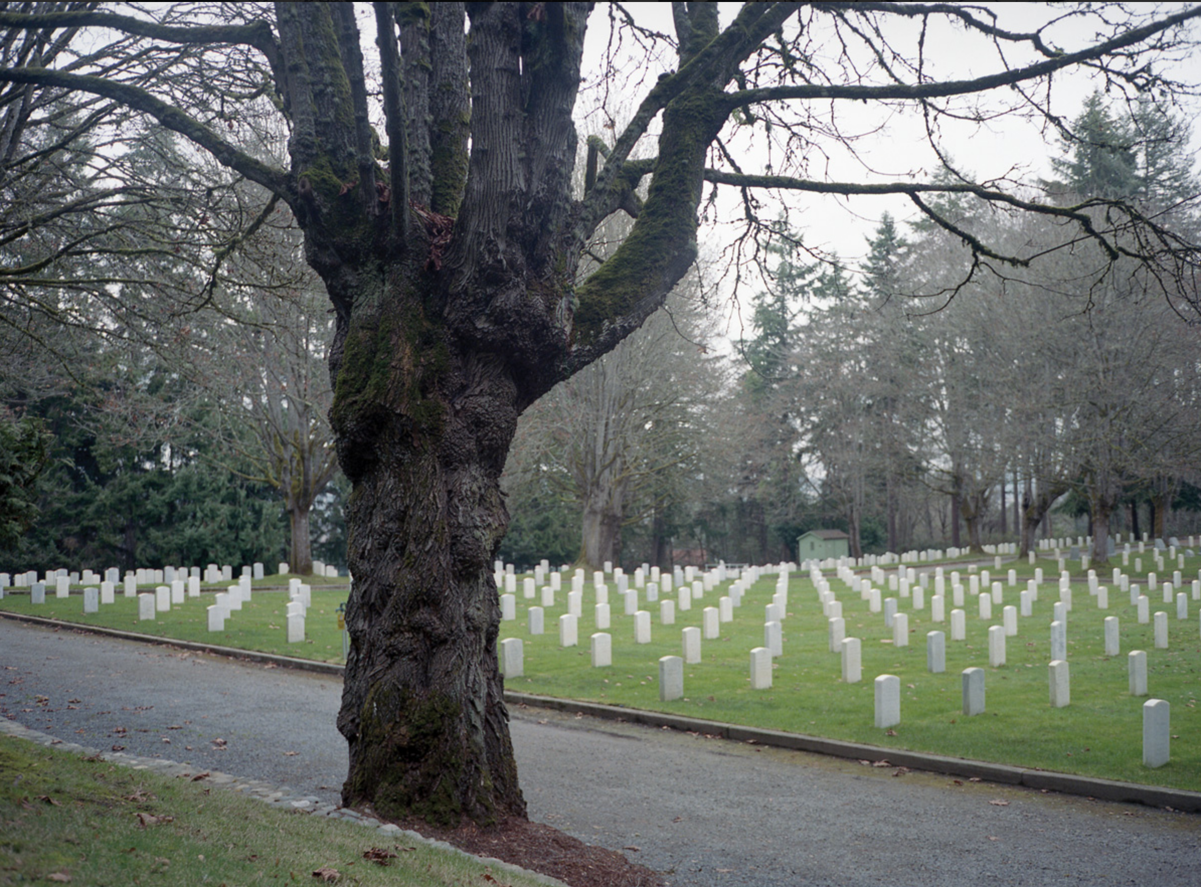 Fort Lawton Post Cemetery, Seattle, Washington. Image by Kalen Goodluck / High Country News. United States, undated.