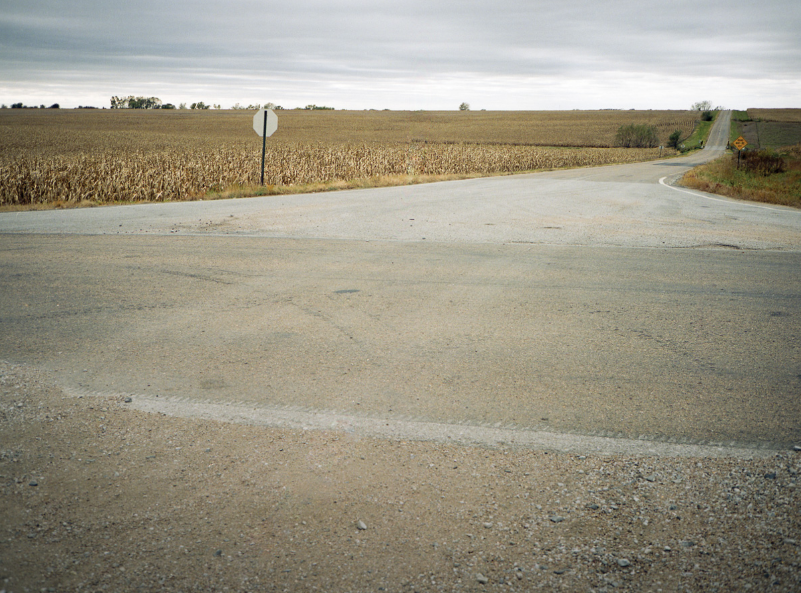 Cornfields, Adams, Nebraska. Image by Kalen Goodluck. United States, undated. 