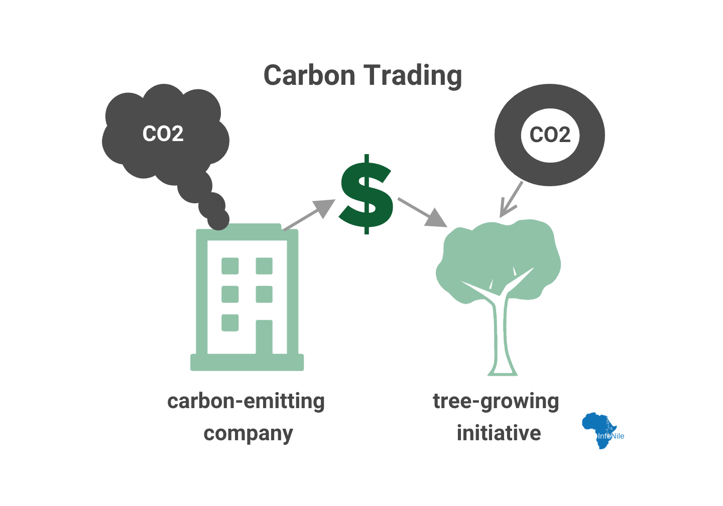 Under the international REDD+ strategy to fight climate change, carbon-emitting companies can buy carbon credits from tree-growing initiatives to "offset" their negative environmental impact. Image by Annika McGinnis. 