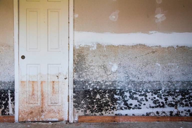 A repeatedly flooded home in Sellers, South Carolina, on February 13, 2020. After two hurricanes and repeated flooding, many homeowners have had to leave their homes to escape the dangerous mold. Image by Joshua Boucher. United States, 2020.

