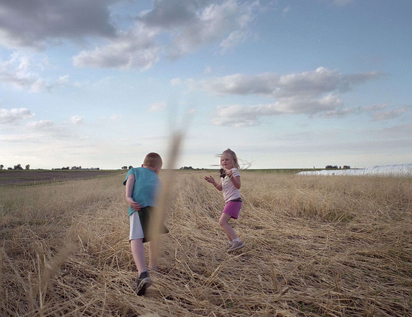 Children play in Tim Sieren’s cover crops while the Practical Farmers of Iowa group meet about conservation implementation. Image by Spike Johnson. United States, 2019. 