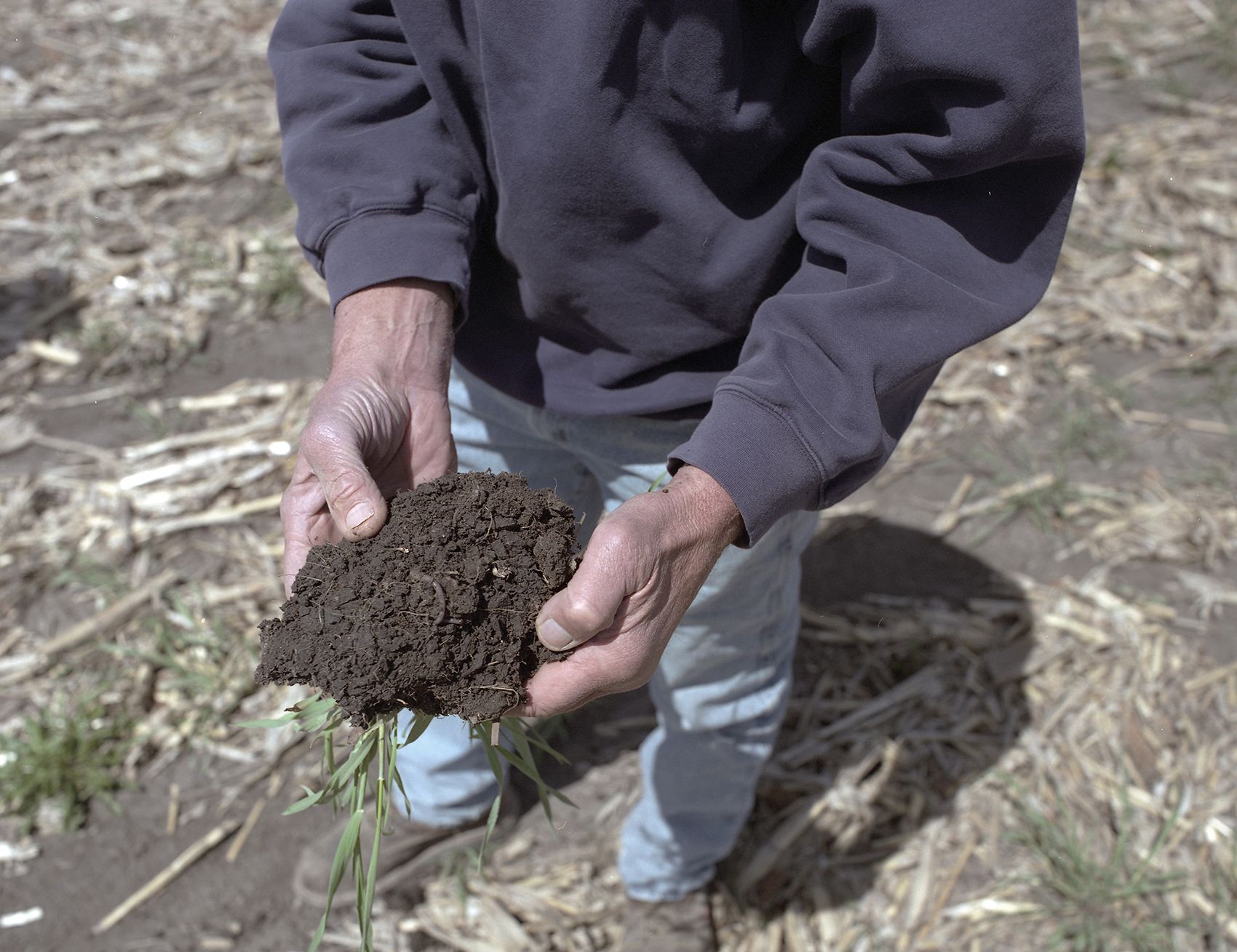 Tim Little shows a patch of healthy soil, rich with earthworms and a new root systems. There are other benefits to cover crops, but they’re hard to quantify and happen over a long timeframe. After five to seven years farmers report better soil health and a higher yield in their primary crops of corn and soybean. Image by Spike Johnson. United States, 2019.