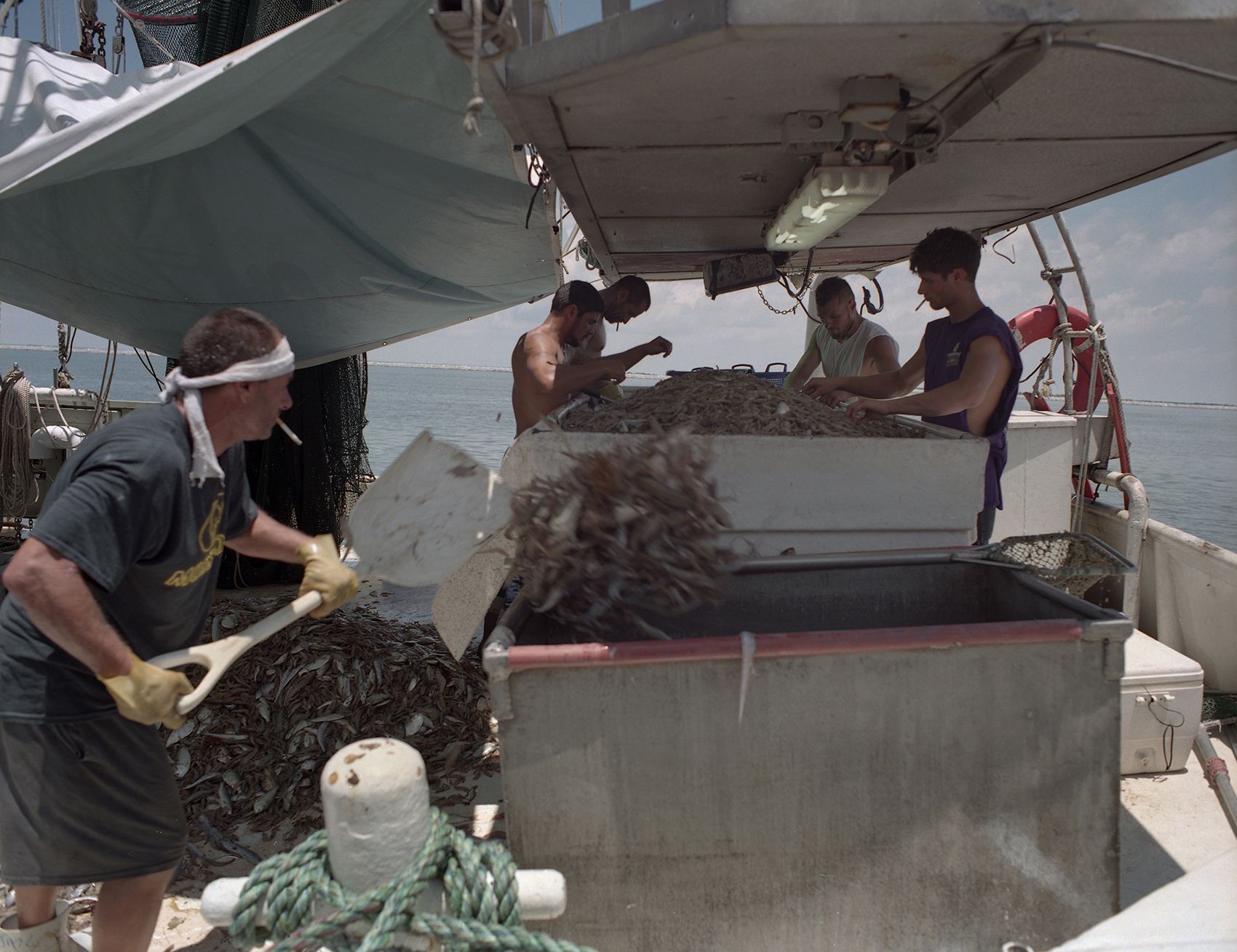 Dean Blanchard’s workers shovel shrimp off the fiberglass deck and into holding tanks. Image by Spike Johnson. United States, 2019.