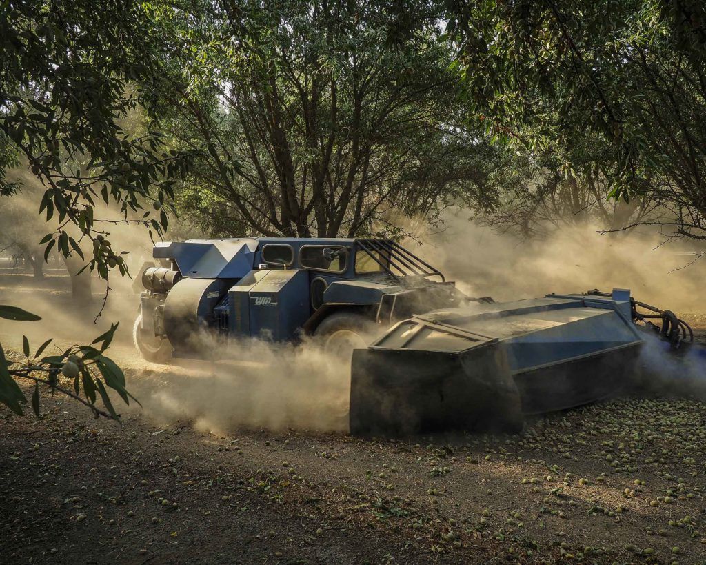 Machines crawl through the plots of almond trees, shaking each one to force the almonds to drop. Image by Larry C. Price. California, 2018.