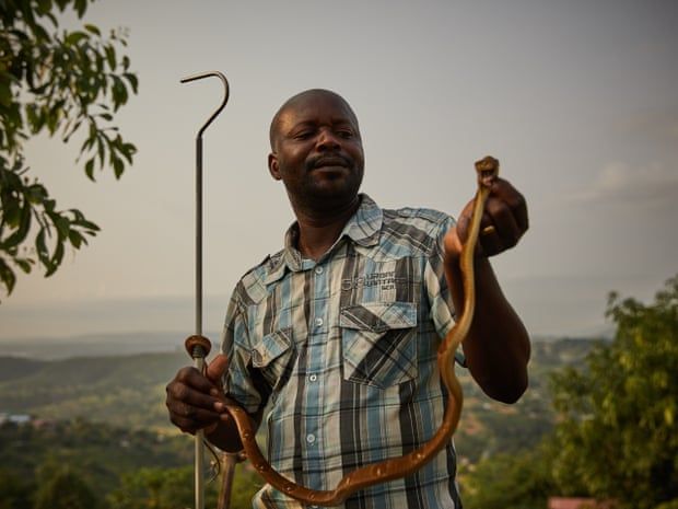 François Nsingi, a technician at the University of Kinshasa’s centre for anti-venom research. Image by Hugh Kinsella Cunningham. Congo, 2019.