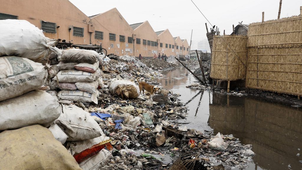A creek outside a Dhaka tannery has banks covered in garbage and rotting animal hides. Image by Justin Kenny. Bangladesh, 2016.