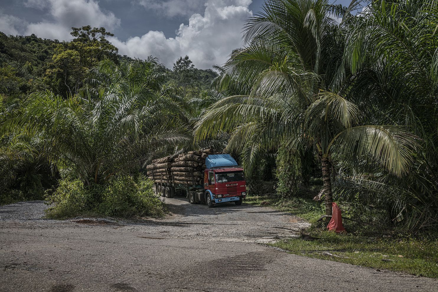 A logging truck exits the rainforest. There seems to be no place for hunter-gatherers such as the Batek along the path Malaysia is blazing into the future. Image by James Whitlow Delano. Malaysia, 2019.