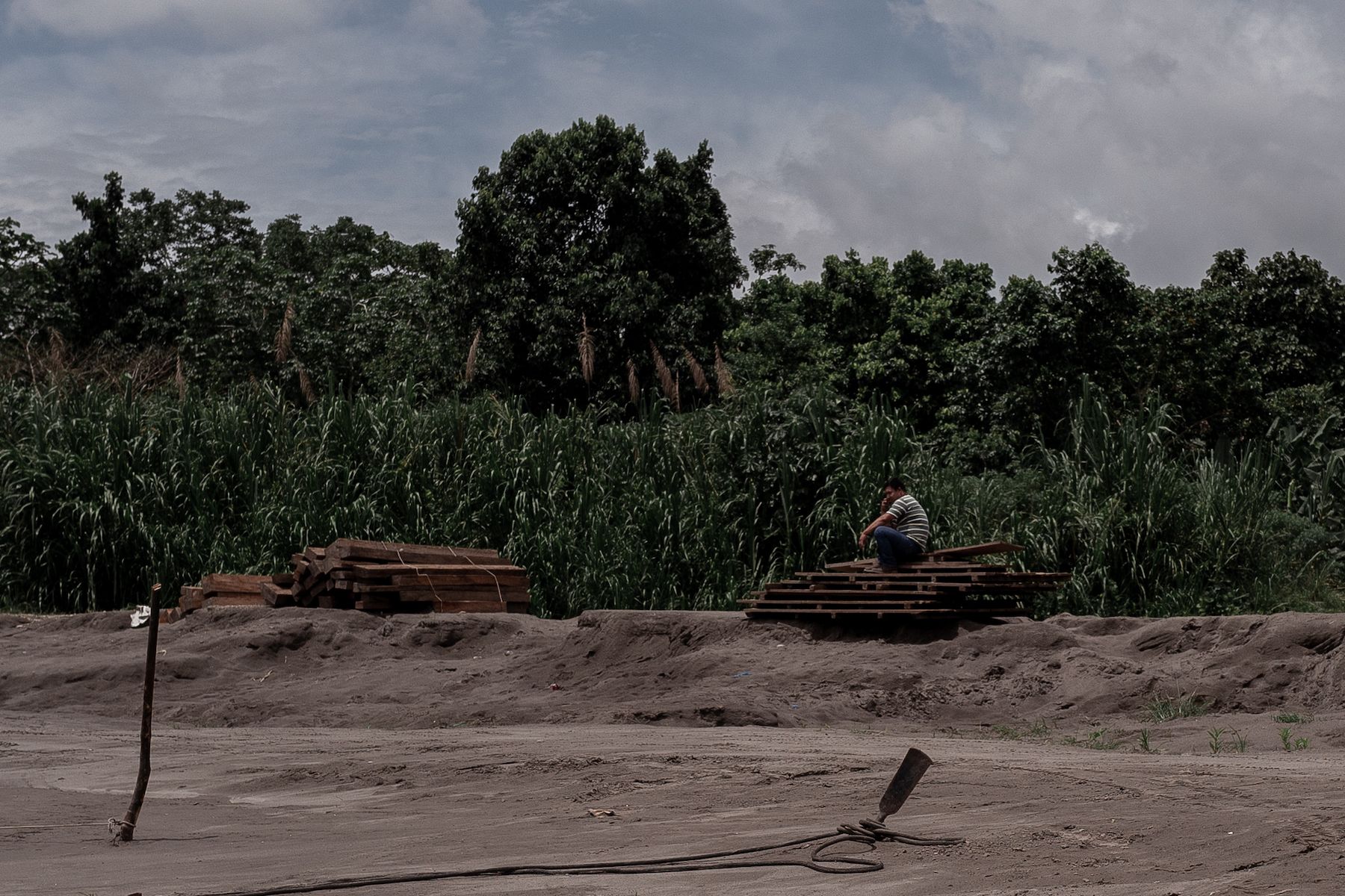 Illegally harvested timber awaiting pick-up by a boat that will transport it to market. Image by Marcio Pimenta. Peru, 2019.