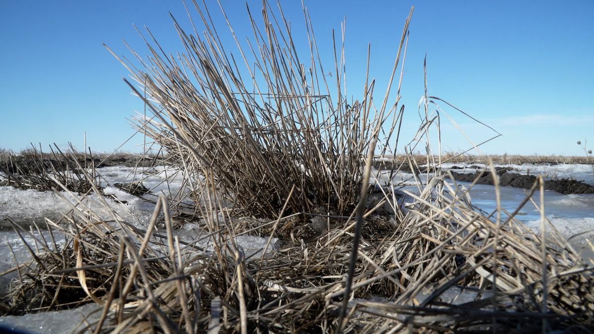 Wet winters and rain on top of frozen ground are setting up new challenges for spring planting. Image by Brad Van Osdel / South Dakota Public Broadcasting. United States, 2020.