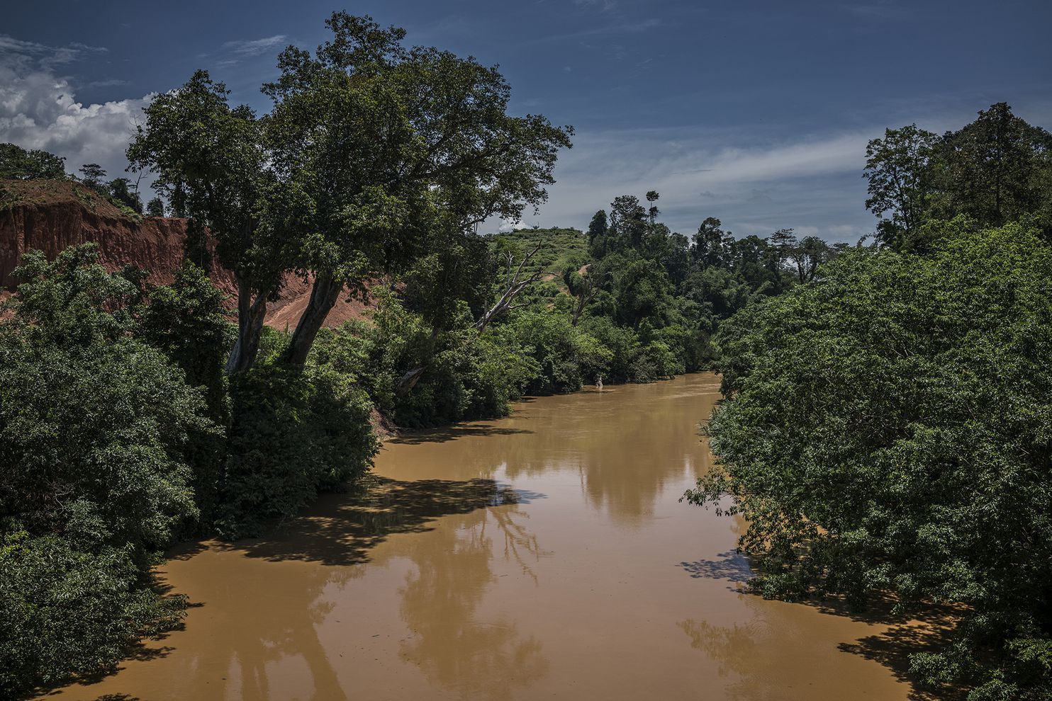 The Lebir River is choked with sediment from the undersoil, indicating it is anaerobic. This was the heart of the Batek’s territory. Kuala Koh sits upstream on a tributary. Image by James Whitlow Delano. Malaysia, 2019.