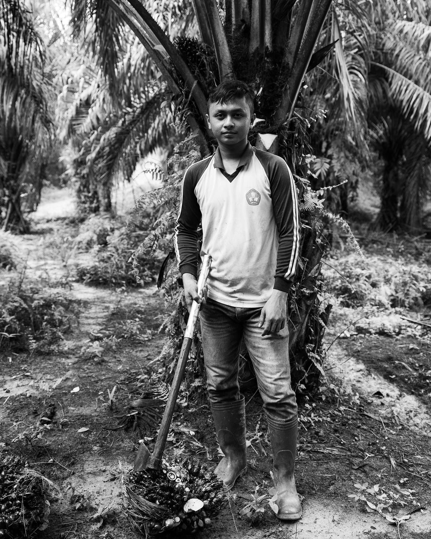 Puryito, 25, has worked on the plantation alongside his family since he was a teenager. Image by Xyza Cruz Bacani. Indonesia, 2018.