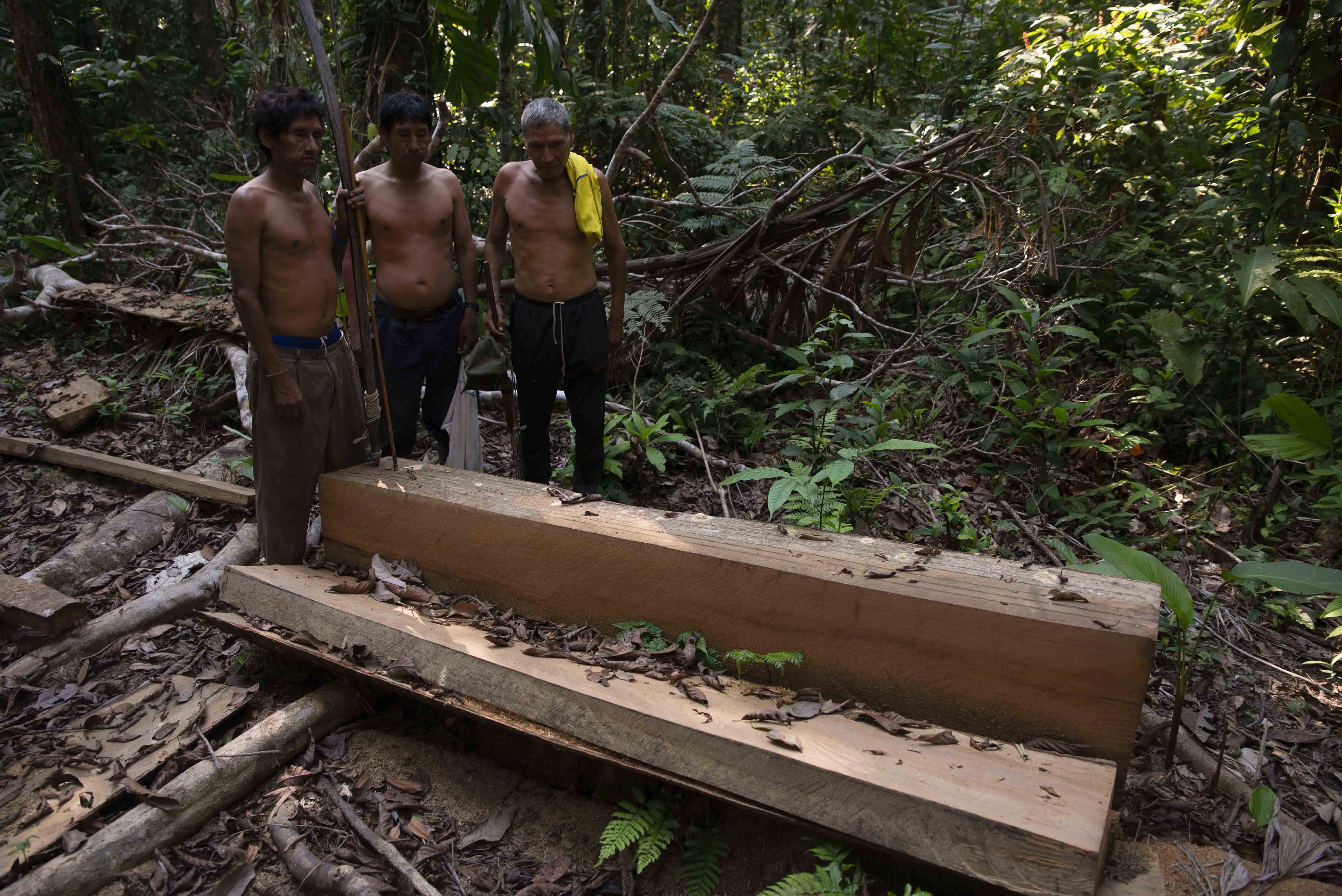 Three Yuqui villagers find an illegally cut down and logged tree within their Yuqui-CIRI TCO territory. The TCO consists of 125,000 hectares and is home to at least three different indigenous peoples: the Yuquis, the Yuracaré and the Trinitarios. There are 298 TCOs (now called TIOC) in Bolivia and they represent almost 25% of the Bolivian Amazon. Photo by Sara Aliaga. Bolivia, 2020.