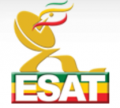ESAT logo