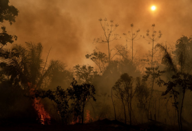 The data is from the National Institute for Space Research (INPE), which also points out that over 80 percent of the territory devoured by flames is in the Amazon. In Bujari, Acre, several fire outbreaks can be observed. Image by Marcio Pimenta. Brazil, 2019.