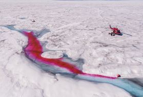 In March, Geophysical Research Letters reported that the western part of Greenland’s ice sheet is melting at its fastest rate in at least 450 years. Some scientists believe that the Arctic hasn’t seen ice melt like this in 5,000 years. If the ice sheet melts entirely, sea levels would rise 20 feet, leaving Lower Manhattan underwater. Jason Gulley, a geologist, and Celia Trunz, a Ph.D. student in geology, have been conducting meltwater research by releasing a fluorescent red dye to determine how and why more rivers form on the surface of the ice sheet and what will happen as a result of these new and turbulent flows. So far, they have found that the rivers lubricate the ice slab, making the sheets move faster toward the coasts, which could cause even more icebergs to calve into the ocean. Image by George Steinmetz. Greenland, 2017.