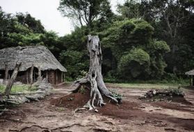 Abandoned homes on the outskirts of Ango, northeastern Congo. People have fled due to recent activity, abductions and killings by the Lord's Resistance Army. (Photo by Marcus Bleasdale)