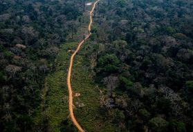 Amazon rainforest area in Acre. Deforestation points are easily identifiable by satellite imagery along the roads. Image by Marcio Pimenta. Brazil, 2019. 